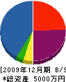 ヤマヒロ建設 貸借対照表 2009年12月期