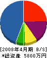 南建化工 貸借対照表 2008年4月期