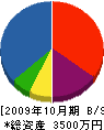 村井設備 貸借対照表 2009年10月期