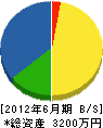 松本配管設備工業所 貸借対照表 2012年6月期