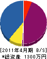 三瀬電機商会 貸借対照表 2011年4月期