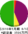 川村工業 貸借対照表 2010年5月期