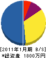 ワタナベ緑化 貸借対照表 2011年1月期