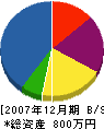 正光電設 貸借対照表 2007年12月期