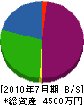 柴田建材 貸借対照表 2010年7月期