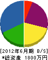 天草グリーン工業 貸借対照表 2012年6月期