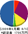 富士環境 貸借対照表 2009年6月期