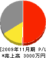 山光電気 損益計算書 2009年11月期 山光電気 損益計算書 2009年11月期
