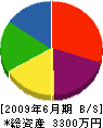平井組 貸借対照表 2009年6月期