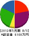 辻電設 貸借対照表 2012年5月期