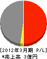 枝吉組 損益計算書 2012年3月期