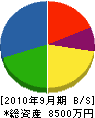 三栄ポンプ工業 貸借対照表 2010年9月期