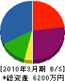 三栄電気工事 貸借対照表 2010年3月期
