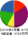 井村工務所 貸借対照表 2010年9月期