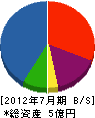 野沢工芸建築 貸借対照表 2012年7月期