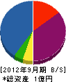 千葉工務店 貸借対照表 2012年9月期