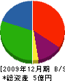藤寿産業 貸借対照表 2009年12月期