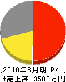 上野塗工 損益計算書 2010年6月期