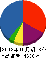 オキタ 貸借対照表 2012年10月期