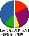 堀川舗装 貸借対照表 2010年3月期