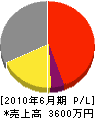 サイタ 損益計算書 2010年6月期 サイタ 損益計算書 2010年6月期