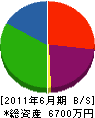 福島塗装工業 貸借対照表 2011年6月期