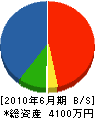 太平電気 貸借対照表 2010年6月期 太平電気 貸借対照表 2010年6月期