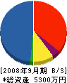 武田建設工業 貸借対照表 2008年9月期