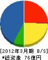 田中組 貸借対照表 2012年3月期