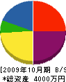 丸橋電気 貸借対照表 2009年10月期