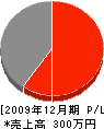 柴田組 損益計算書 2009年12月期