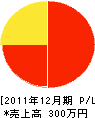 松岡塗装店 損益計算書 2011年12月期