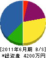 新川電工舎 貸借対照表 2011年6月期