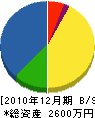 片山電機 貸借対照表 2010年12月期