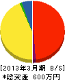 島田電機商会 貸借対照表 2013年3月期