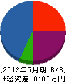 瀬川工業所 貸借対照表 2012年5月期