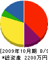 桜造園土木 貸借対照表 2009年10月期
