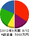 須田電機 貸借対照表 2012年8月期