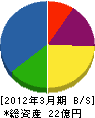 ネクスコ・エンジニアリング北海道 貸借対照表 2012年3月期