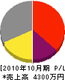 日鴻舗道 損益計算書 2010年10月期
