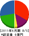 溝田農材 貸借対照表 2011年6月期