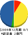 寺田組 貸借対照表 2009年12月期