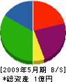 櫛田建設 貸借対照表 2009年5月期
