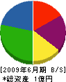 中川忠工務店 貸借対照表 2009年6月期