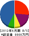熊澤建築事務所 貸借対照表 2012年6月期