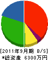 泰東電機 貸借対照表 2011年9月期