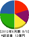 福島建設工業 貸借対照表 2012年6月期