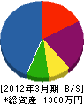 佐藤電機店 貸借対照表 2012年3月期