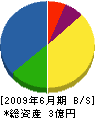 北海道相互建設 貸借対照表 2009年6月期