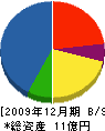 総電建 貸借対照表 2009年12月期